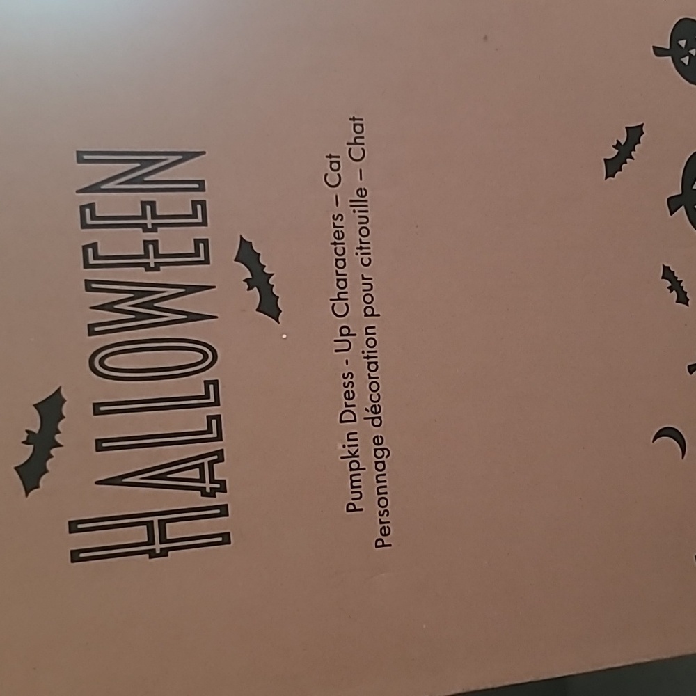 Black Cat and Bat Pumpkin Dress Up - Picture 2 of 2